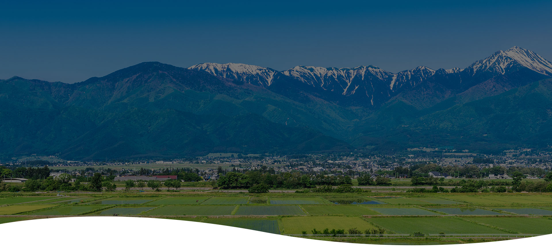 slider_nagano_spring